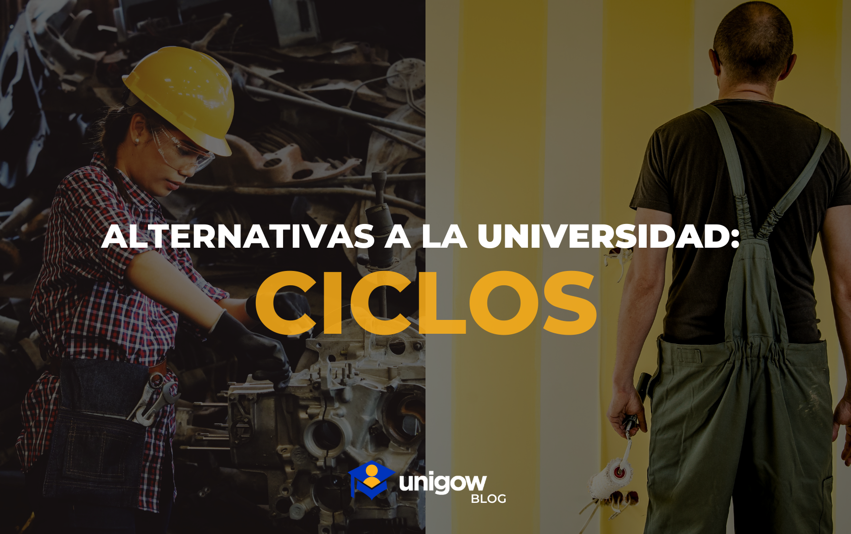 alternativas a la universidad: ciclos