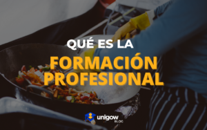 formación profesional