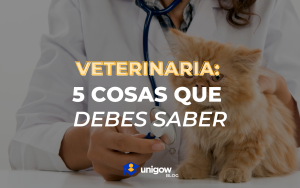 veterinaria