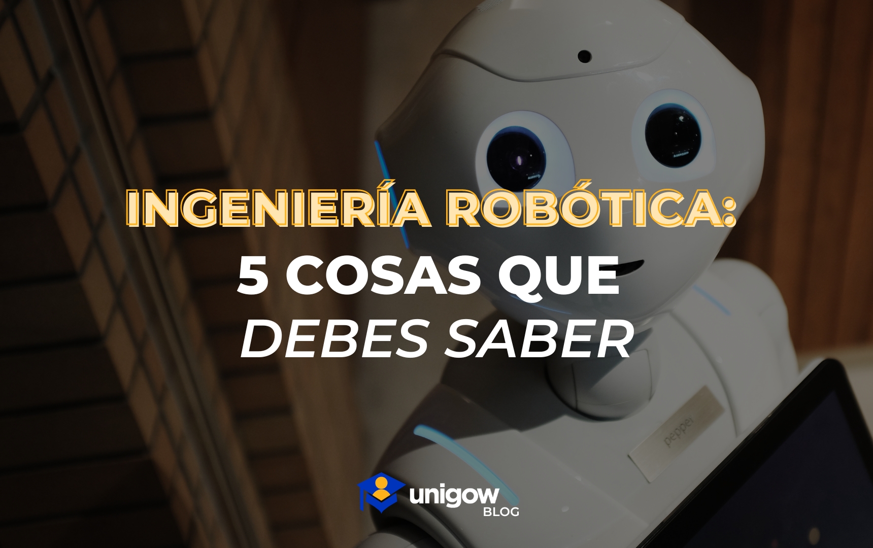 INGENIERIA ROBOTICA